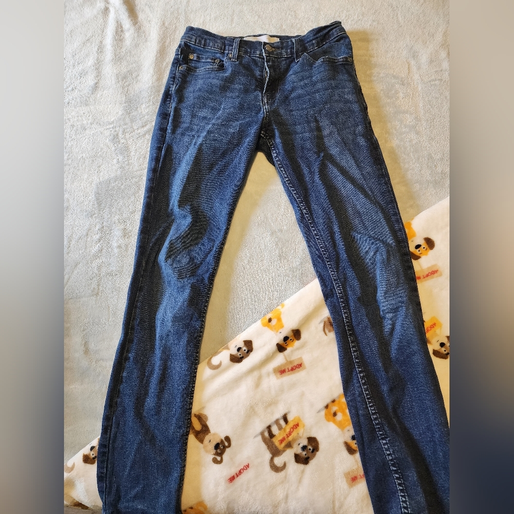 Levi Signature Jeans 29x32